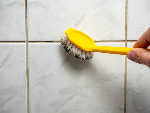 Best Professional Mold Removal  in Loop, PA